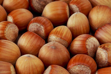 handful of hazelnuts