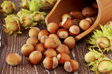 the handful of hazelnuts