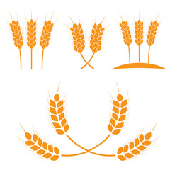 Wheat ears or rice icons set. Agricultural symbols isolated on white background. Design elements for bread packaging or beer label. Vector illustration.