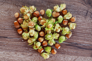 the handful of hazelnuts