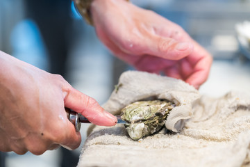 Opening the hollow and flat oysters
