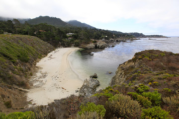  Point Lobos