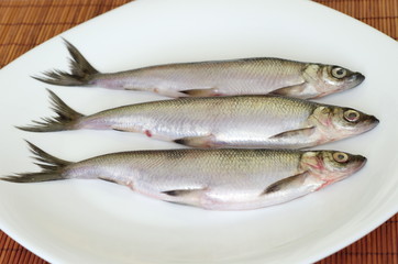 Fresh fish vendace on a white plate