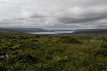 Fototapeta na wymiar Green valley and lake in cloudy weather, highlands. Arctic summer, the tundra, Norway.