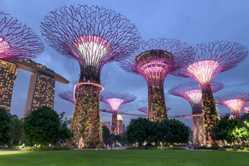 Tuinposter Colorful of lighting show in Singapore, Cityscape on twilight sc © Maha Heang 245789