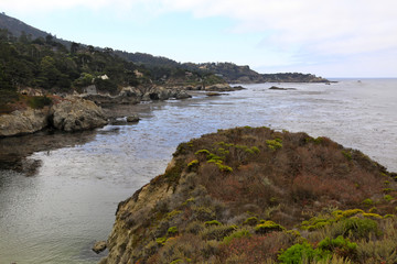Fototapeta na wymiar Point Lobos