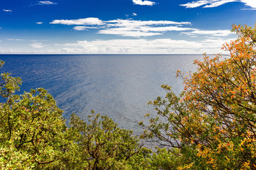 water surface blue sea and trees in the foreground