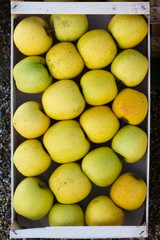 Cassetta di mele gialle