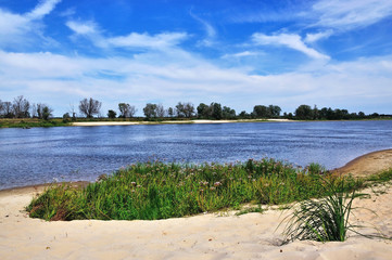 Fototapeta na wymiar Summer landscape. Bank of the river.