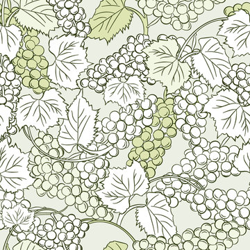 Grapes background. Seamless pattern of grapes. Bunch of grapes with leaves. A good harvest.