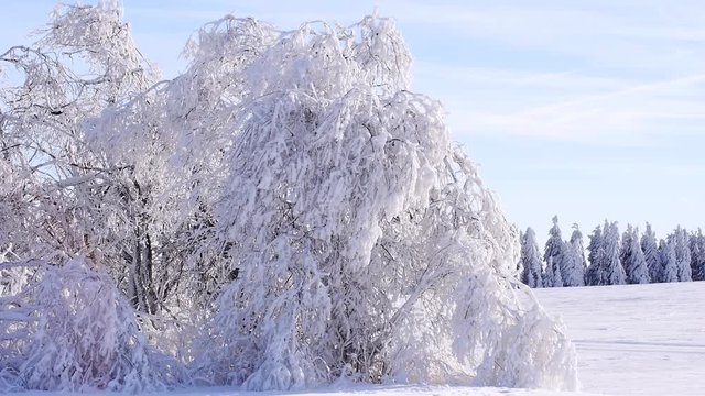 Winterlandschaft in der Rh&ouml;n