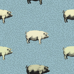 Seamless vector pattern wits pigs