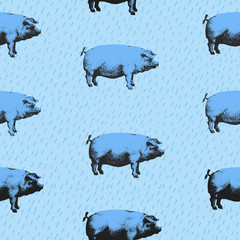 Seamless vector pattern wits pigs