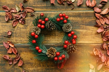 Christmas branch with red fruits