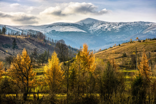 snowy peaks over autumn forest
