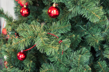 Closeup of red baubles hanging from a decorated Christmas tree.
