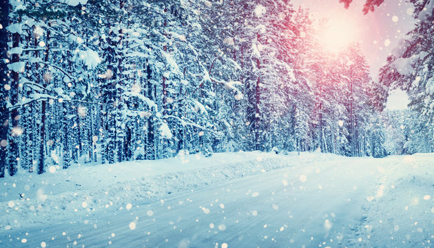 winter panorama on the road through coniferous forest