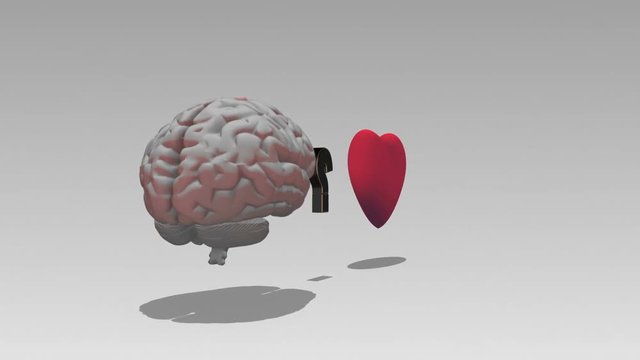 Head and heart - logic and emotion