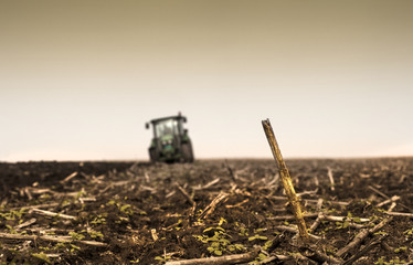 Field at fall time.Tractor plowing.