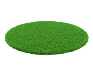 Detail of a field of green grass. Grass arena isolated on white background. High resolution 3d illustratio