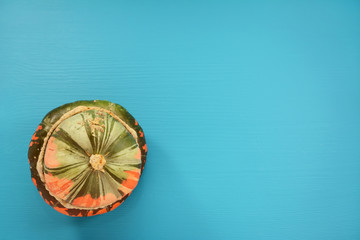 Green and orange Turks turban squash on a teal background