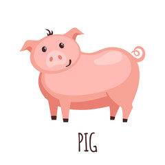 Cute pig in flat style.
