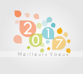 Carte Voeux 2017 Pétales