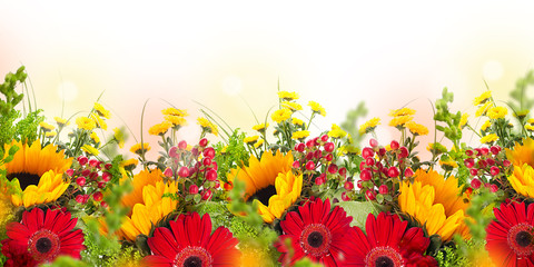 Amazing background with daisies and sunflowers. Yellow and red flowers on a white blank. Floral...
