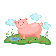 Cute Pig on a green grass.