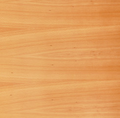 Fototapeta premium Light brown wood texture with natural patterns