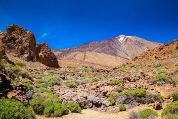 beautiful view of the mount Teide