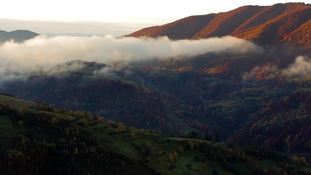 cold morning fog with golden hot sunrise in the rural area of Carpathian mountain range. green grass and trees with colorful foliage on the hillside meadow