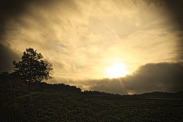 Sunset Countryside