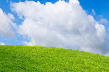 Fotobehang Heuvel Field and blue sky