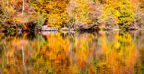 Autumn landscape in (seven lakes) Yedigoller Park Bolu, Turkey