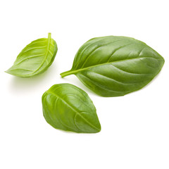Fototapeta premium Sweet basil herb leaves isolated on white background closeup