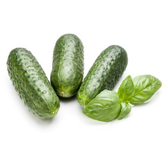 Cucumber vegetable and basil leaves isolated on white background