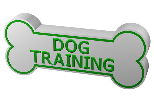 Concept: dog training. 3D rendering.