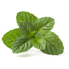 Fresh mint herb leaves isolated on white background cutout