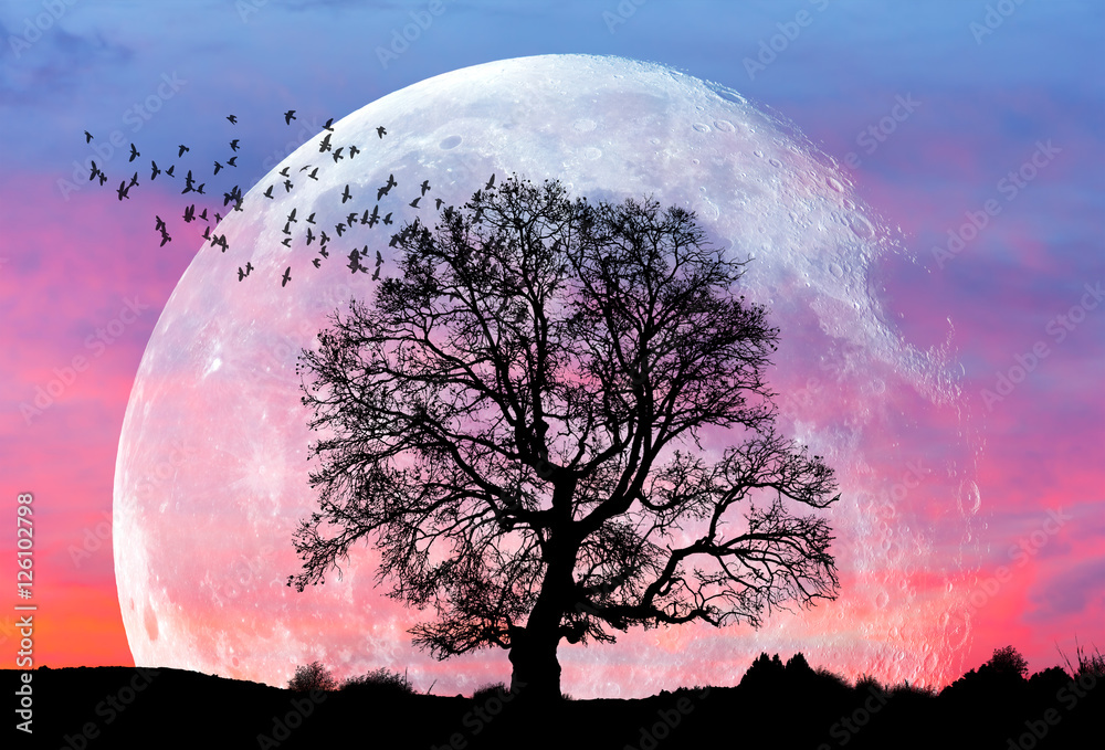 Aufkleber moon at it largest also called super moon 