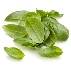 Fototapeta premium Sweet basil herb leaves handful isolated on white background clo