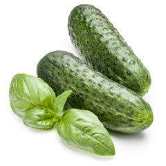 Cucumber vegetable and basil leaves isolated on white background