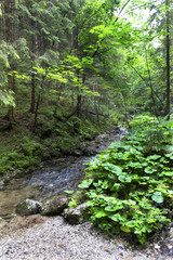 Fototapeta premium Little Fatra, the beautiful Mountains in Slovakia