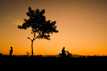 Silhouette of farmer driving motorcycle on field in harvest season,Happy farmer at sky sunrise in the morning