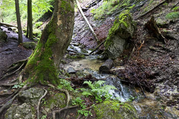 Little Fatra, the beautiful Mountains  in Slovakia