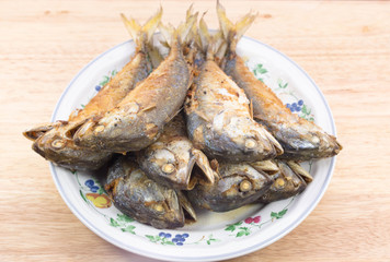 Thai mackerel fish