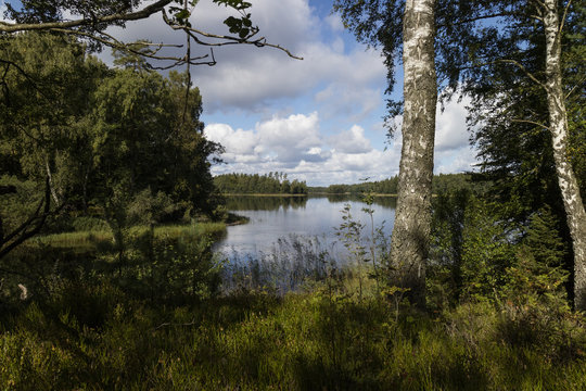 River near Bolmen, south sweden