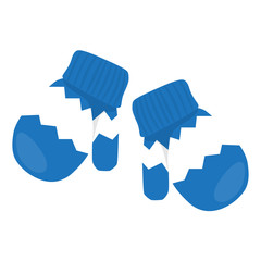 Vector illustration pair of blue mittens with white ornament