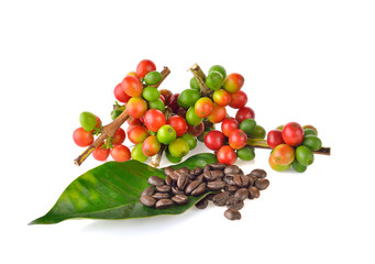 coffee beans and red ripe coffee  on white background.