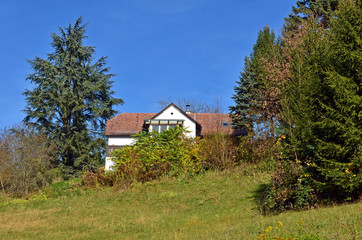 Fototapeta na wymiar Haus im grünen, Wohnhaus am Land
